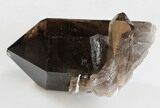 Dark Smoky Quartz Crystal - Brazil #34727-2